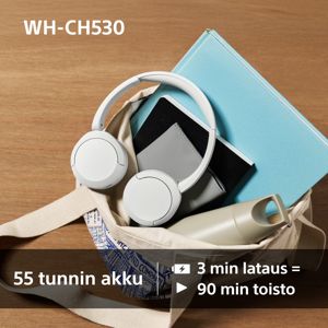 bezicne-on-ear-slusalice-sony-wh-ch530-bluetooth-white-78385-934723.jpg