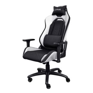 gaming-stolica-trust-gxt-714w-ruya-white-98961-932559.jpg