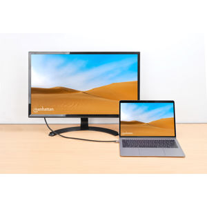 kabel-manhattan-394994-monitor-usb-c-m-na-displayport-m-do-8-36699-934297.jpg