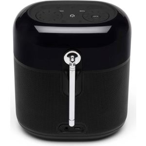 zvucnik-jbl-tuner-xl-fm-bluetooth-black-13765-112770.jpg